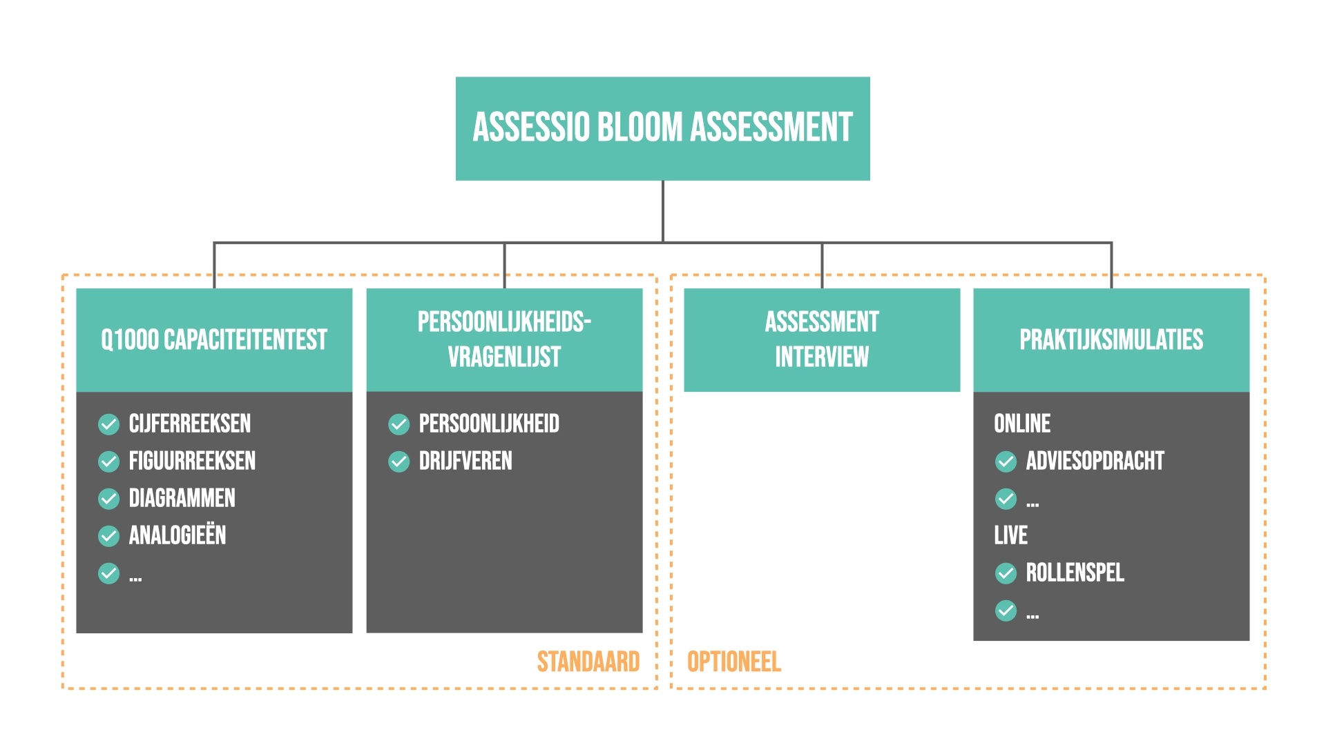 Assessio Bloom assessment
